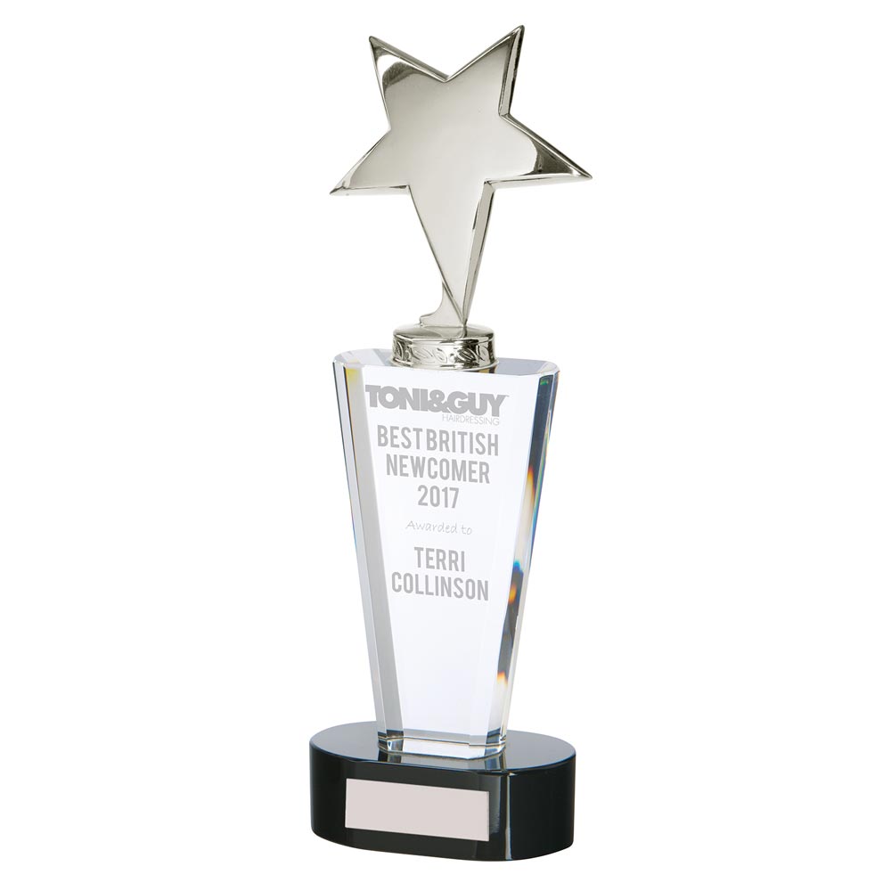 Chicago Crystal & Chrome Award 270mm (55mm Thick)