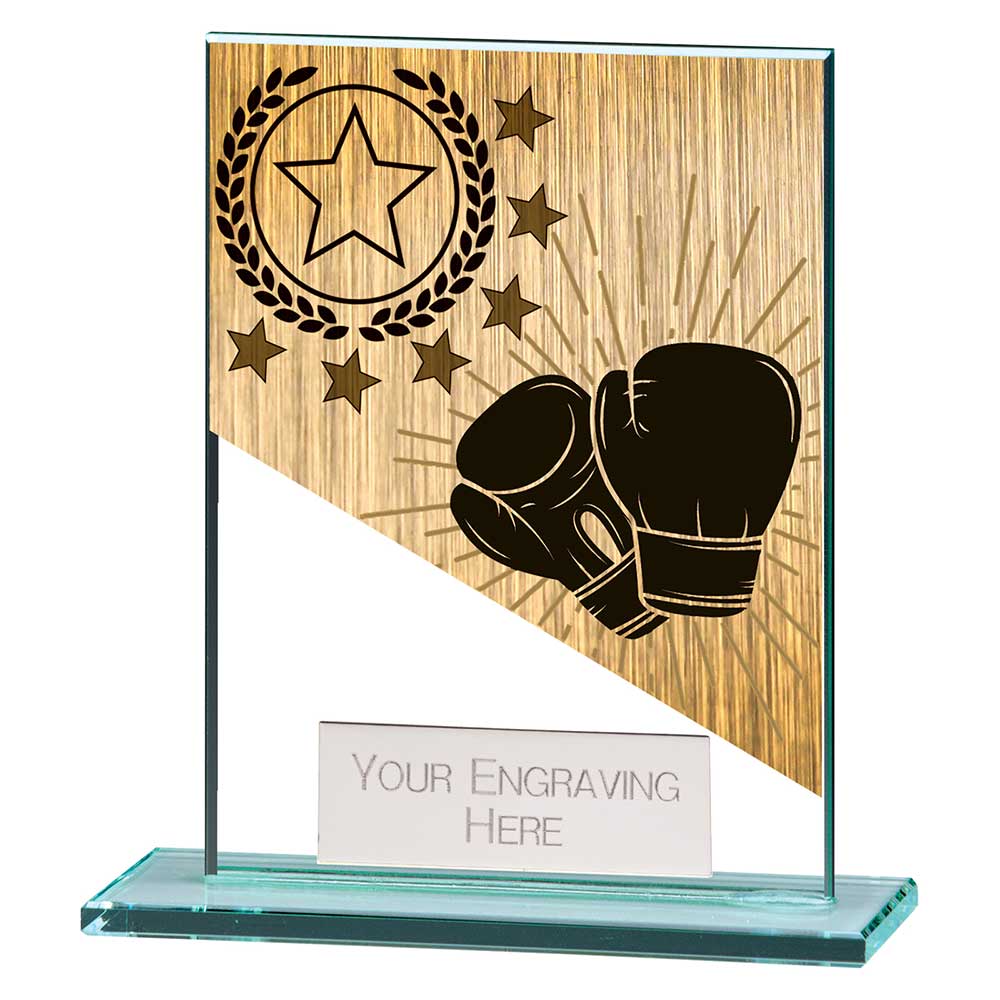 Mustang Boxing Jade Glass Award 110mm