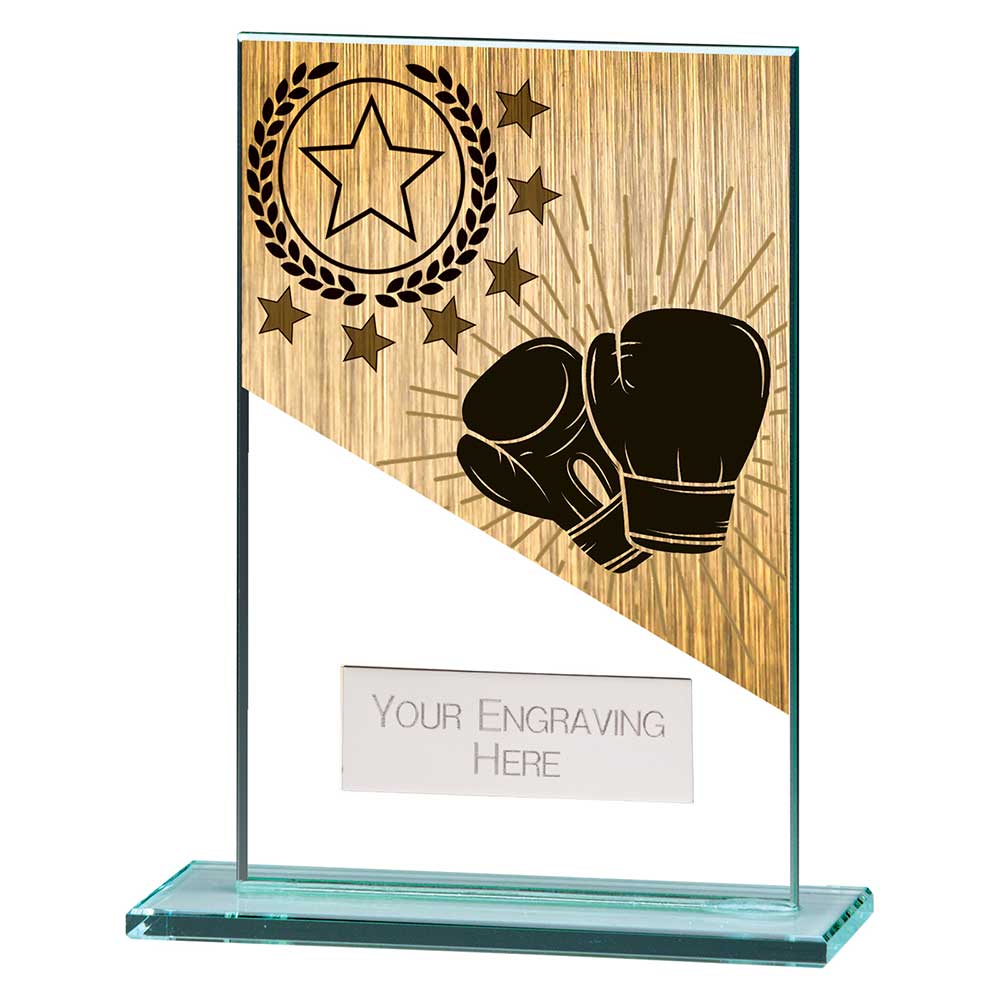Mustang Boxing Jade Glass Award 125mm