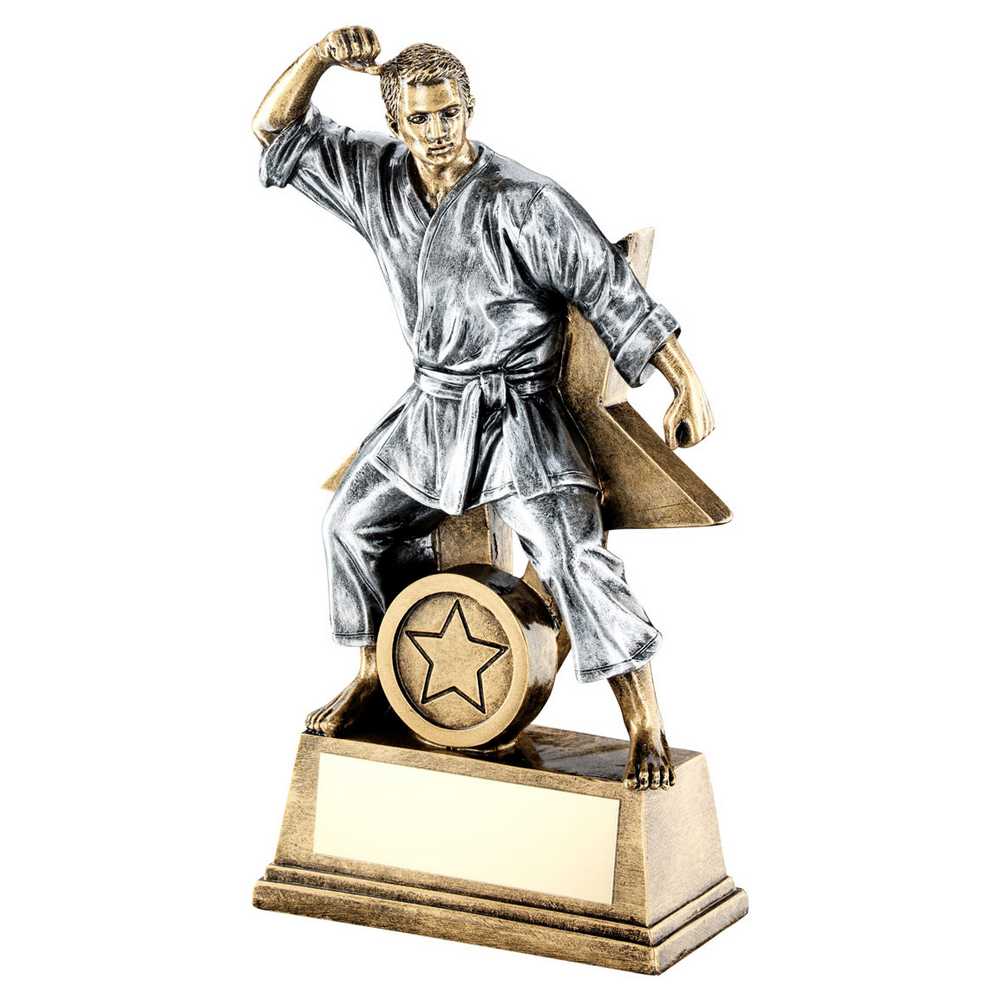 BRZ/GOLD/PEW MALE MARTIAL ARTS FIGURE WITH STAR BACKING AND PLATE (1in CEN) - 7"