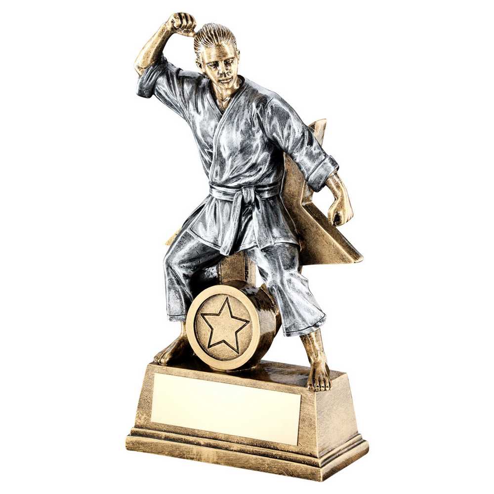 BRZ/GOLD/PEW FEMALE MARTIAL ARTS FIGURE WITH STAR BACK AND PLATE (1in CEN) - 7"