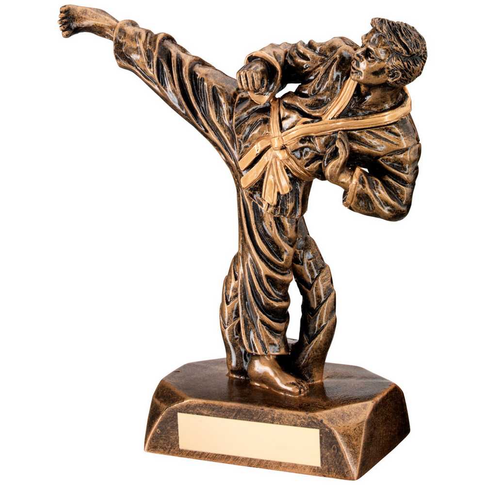 BRZ/GOLD RESIN KARATE FIGURE WITH PLATE - 7.5in