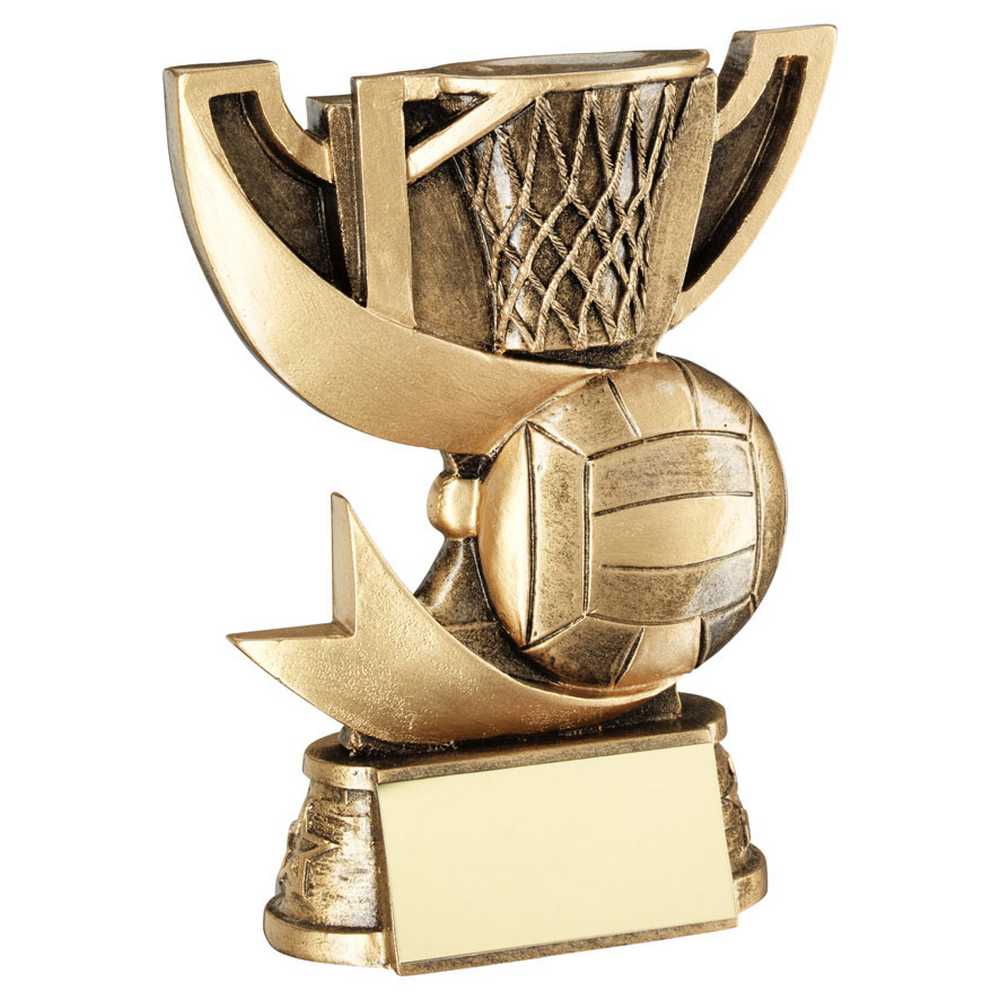 BRZ/GOLD CUP RANGE FOR NETBALL WITH PLATE - 4.25in