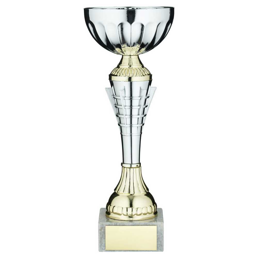 SILV/GOLD SPIRO TROPHY CUP WITH PLATE - 9.5in