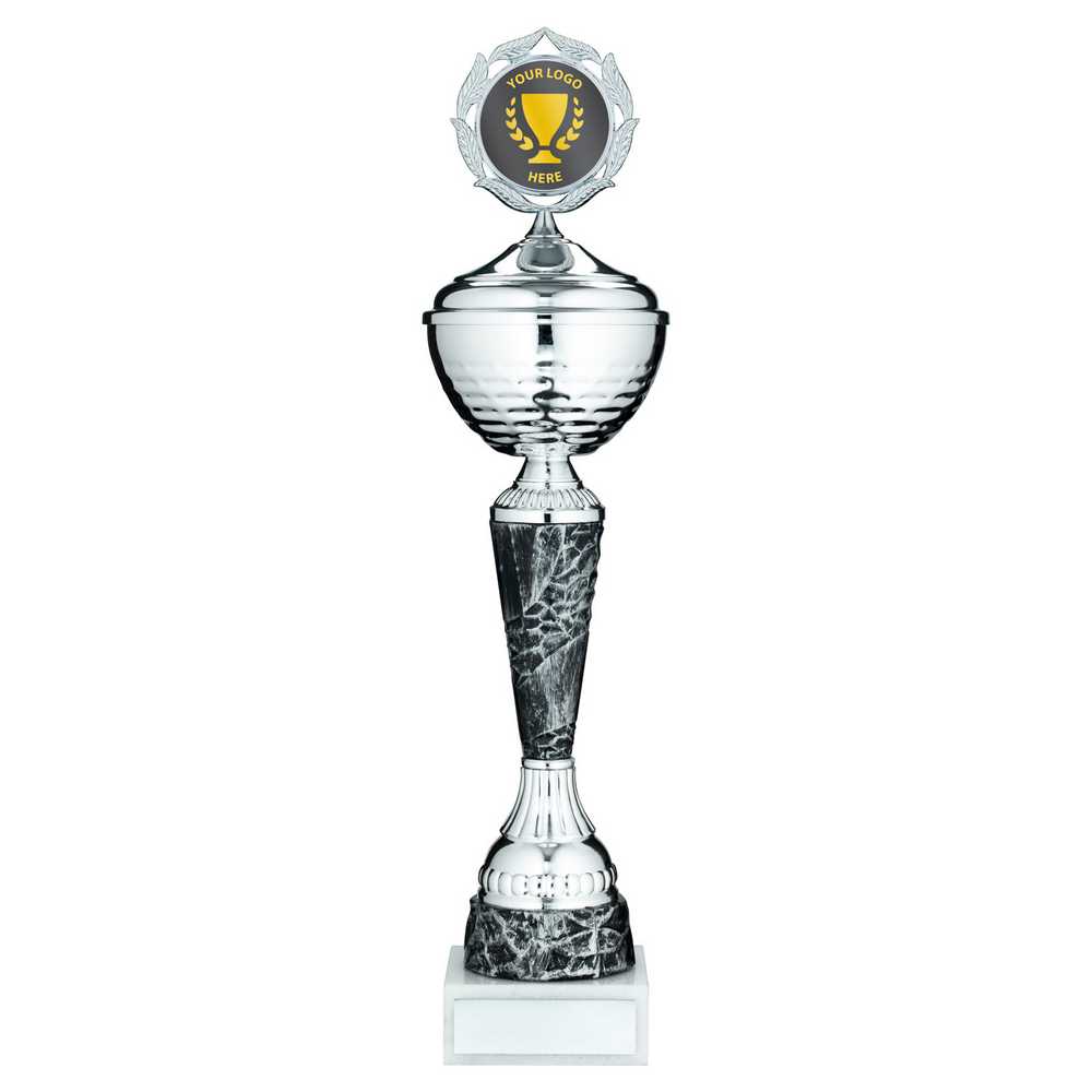 SILV/PEWTER TROPHY CUP WITH LID WITH PLATE (2in CENTRE) - 16.5in