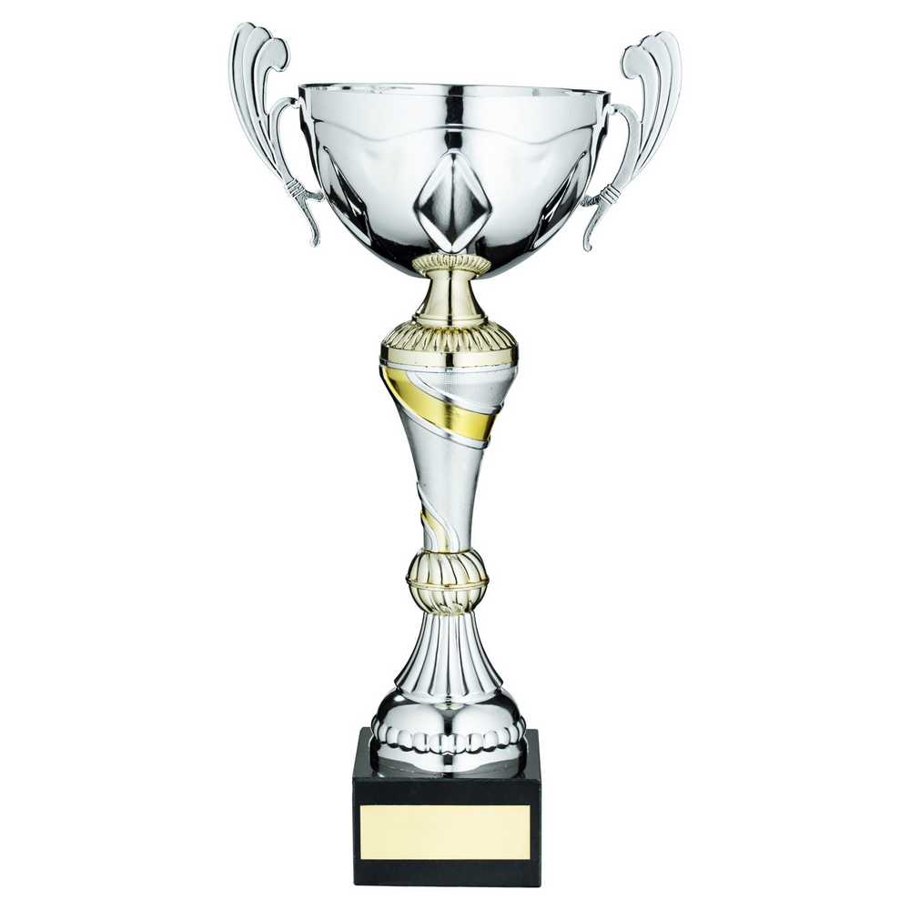 SILVER/GOLD TROPHY CUP WITH HANDLES AND PLATE - 12.5in