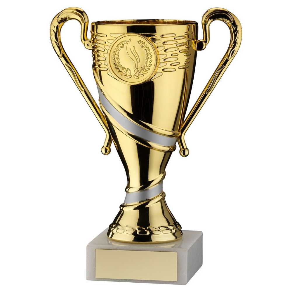 GOLD/MATT SILVER PLASTIC TROPHY CUP WITH PLATE (1in CENTRE) - 4.75in