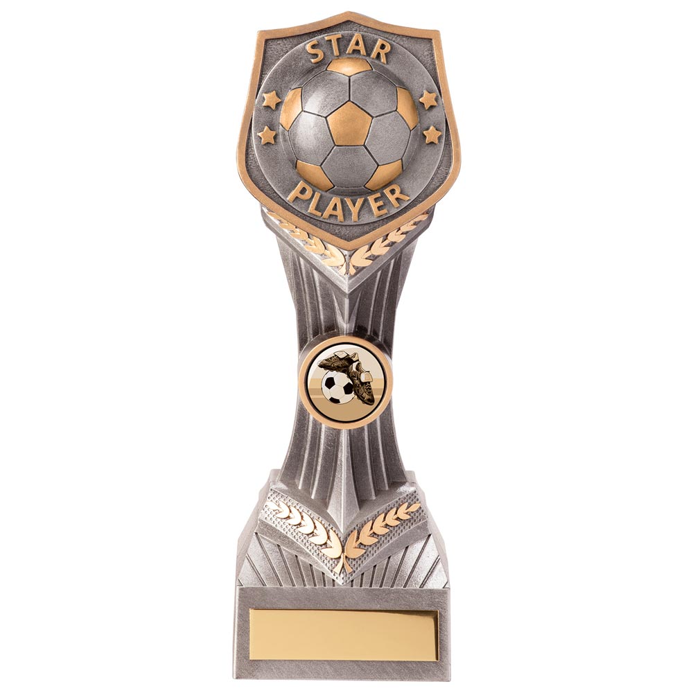 Falcon Football Star Player Award 210mm