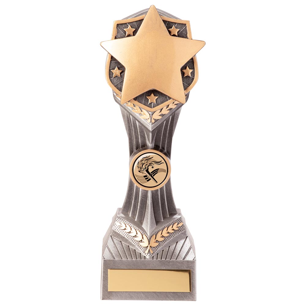 Falcon Achievement Star Award 210mm