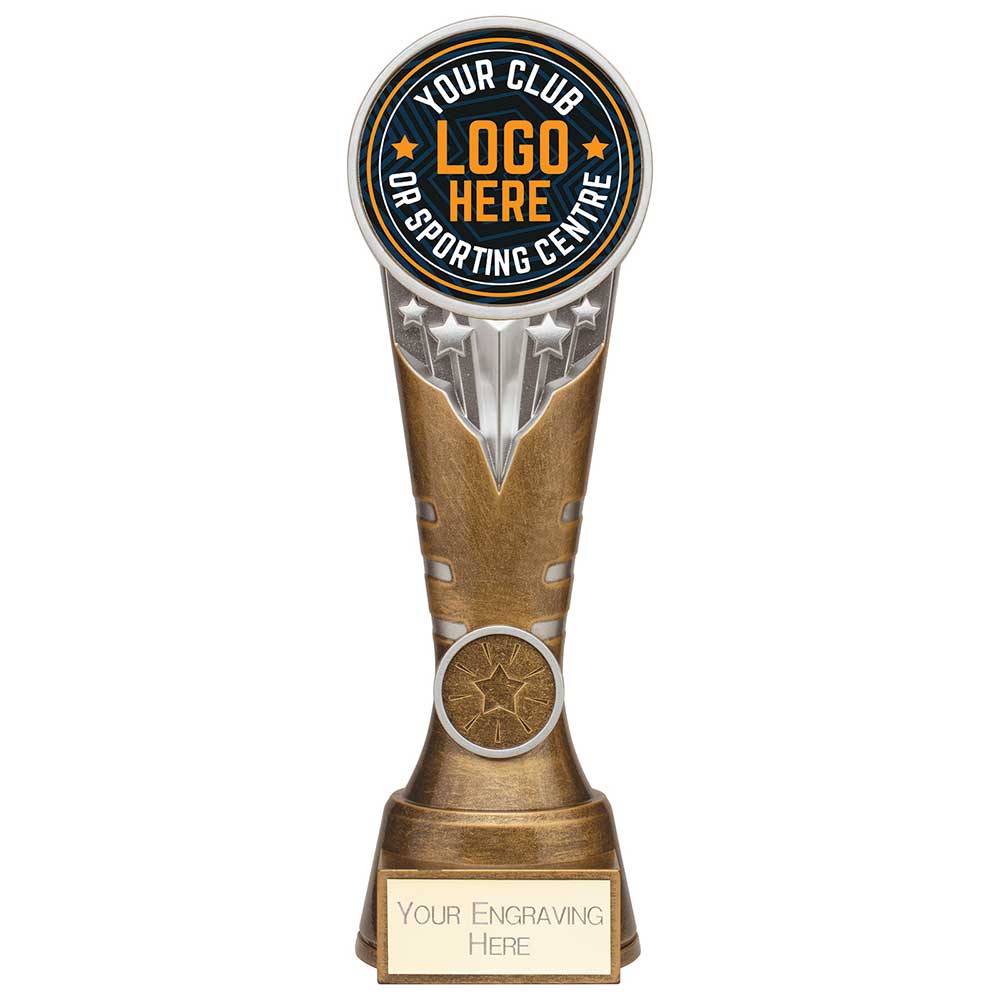 Ikon Award Antique Silver & Gold 225mm