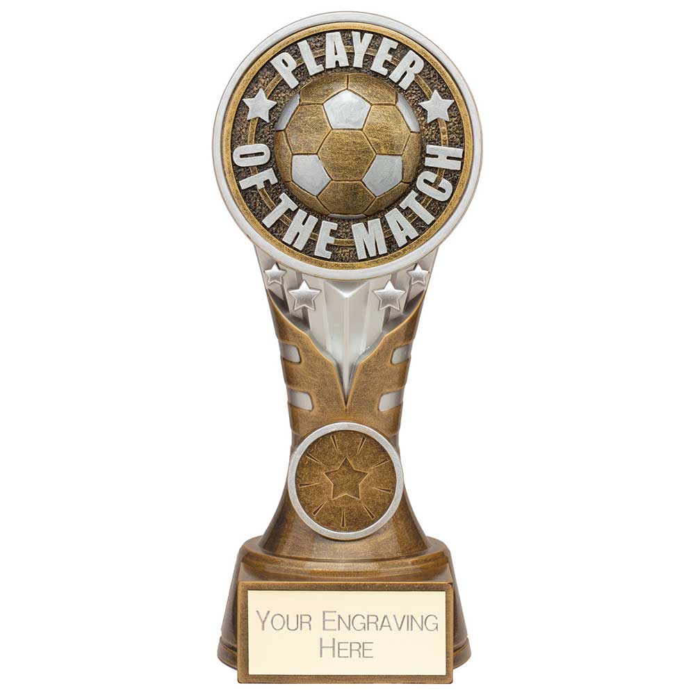 Ikon Tower Player of the Match Award Antique Silver & Gold 175mm