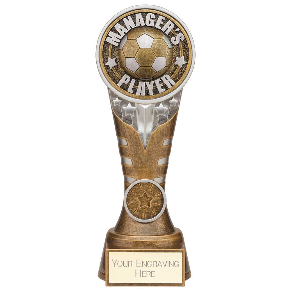 Ikon Tower Managers Player Award Antique Silver & Gold 200mm