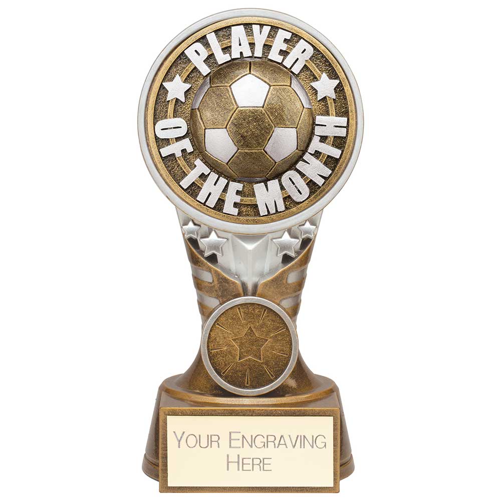Ikon Tower Player of the Month Award Antique Silver & Gold 150mm