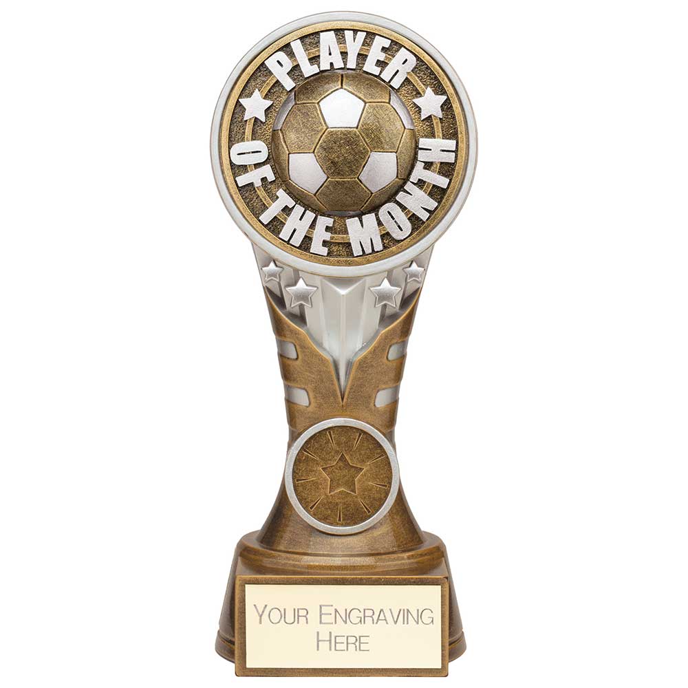 Ikon Tower Player of the Month Award Antique Silver & Gold 175mm