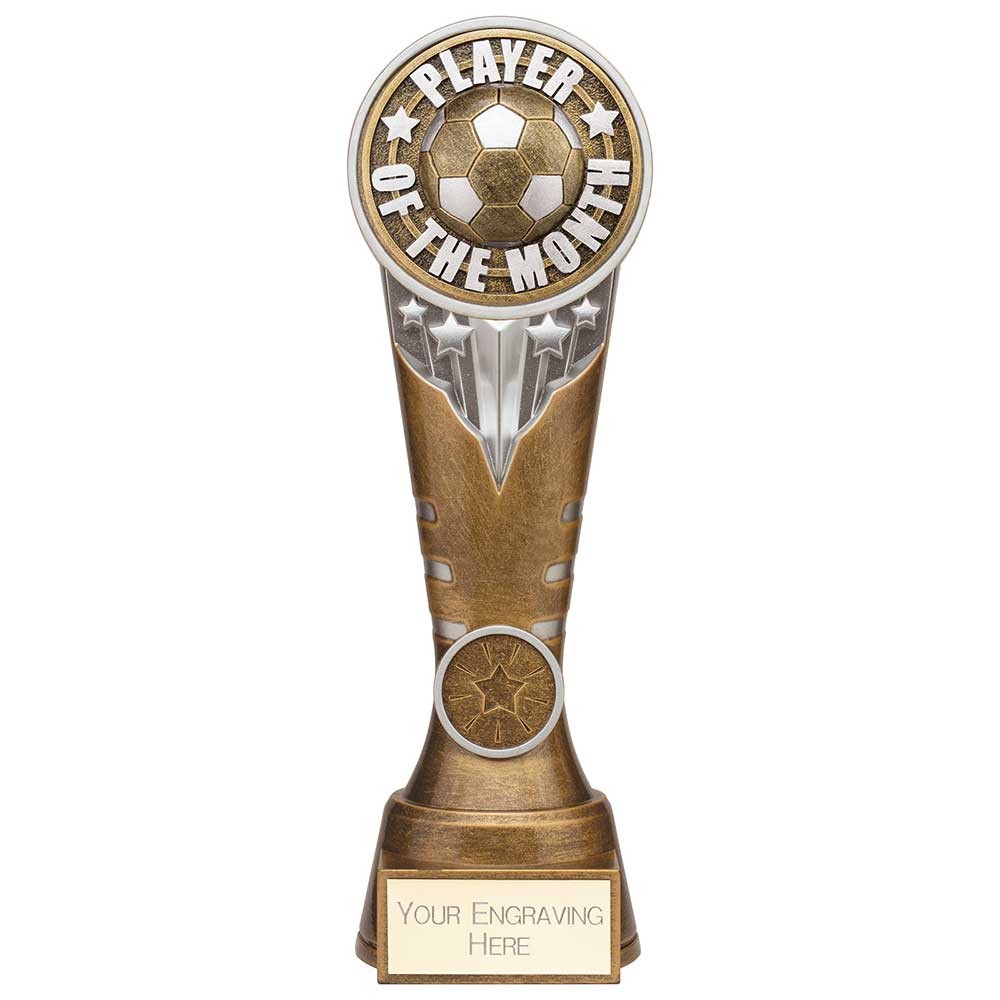Ikon Tower Player of the Month Award Antique Silver & Gold 225mm