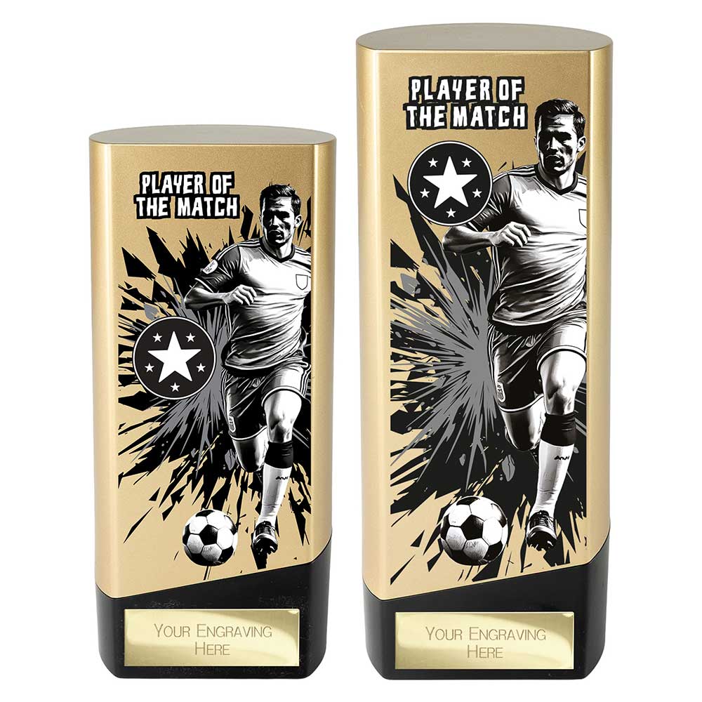 Prime Heavyweight Player of the Match Gold & Black 190mm