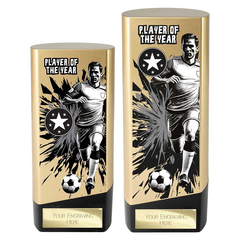 Prime Heavyweight Player of the year Gold & Black 160mm