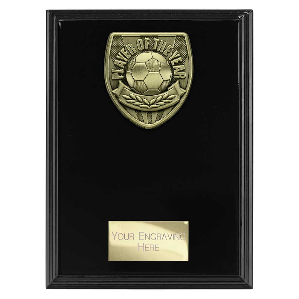 Cobra Plaque Player of Year Award Epic Black 175mm