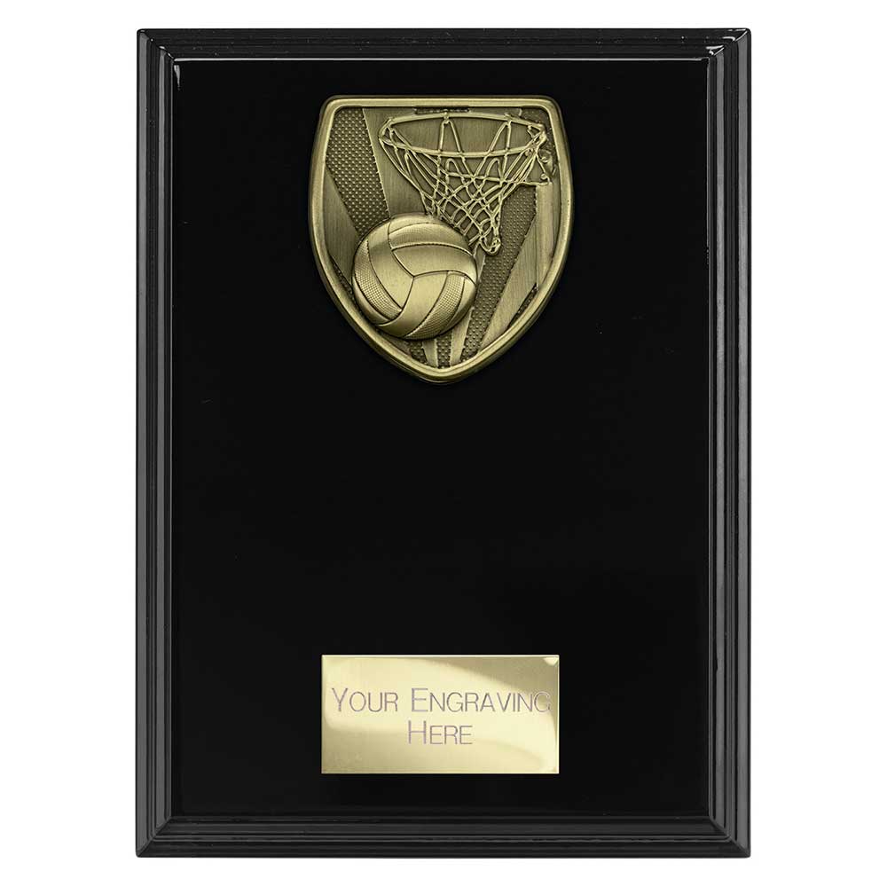 Cobra Plaque Netball Award Epic Black 175mm