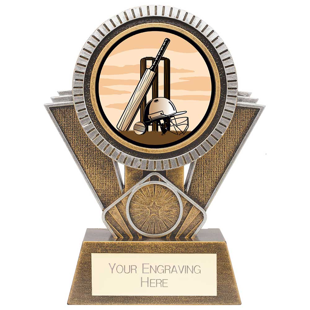 Apex Cricket Award Gold & Silver 155mm