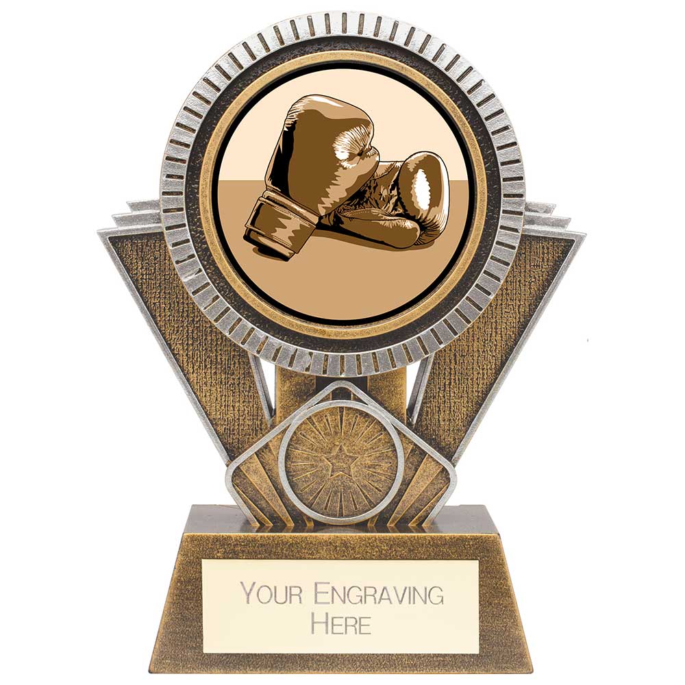 Apex Boxing Award Gold & Silver 155mm