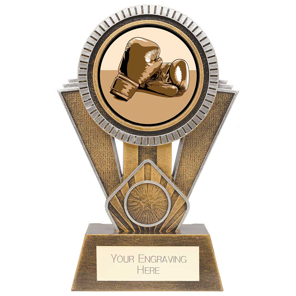 Apex Boxing Award Gold & Silver 180mm