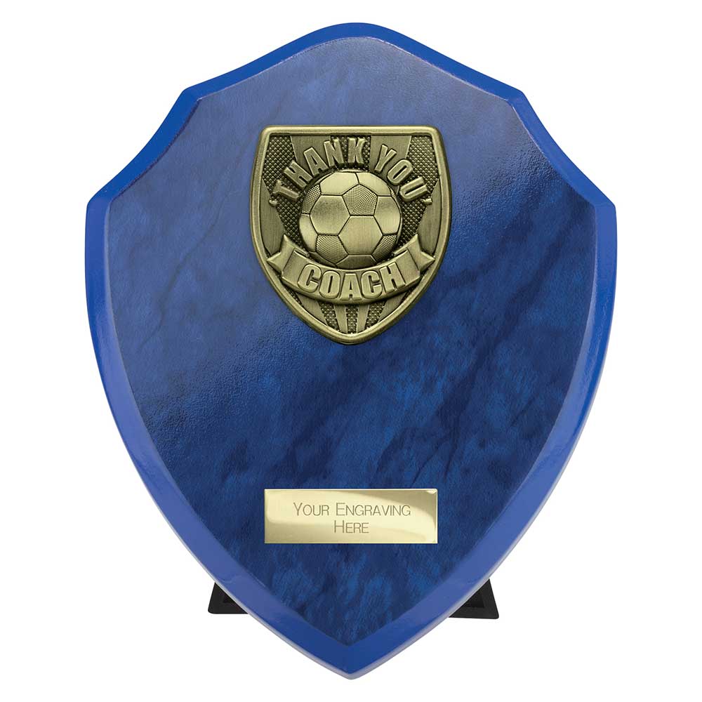 Cobra Shield Thank you Coach Award Azure Blue 175mm