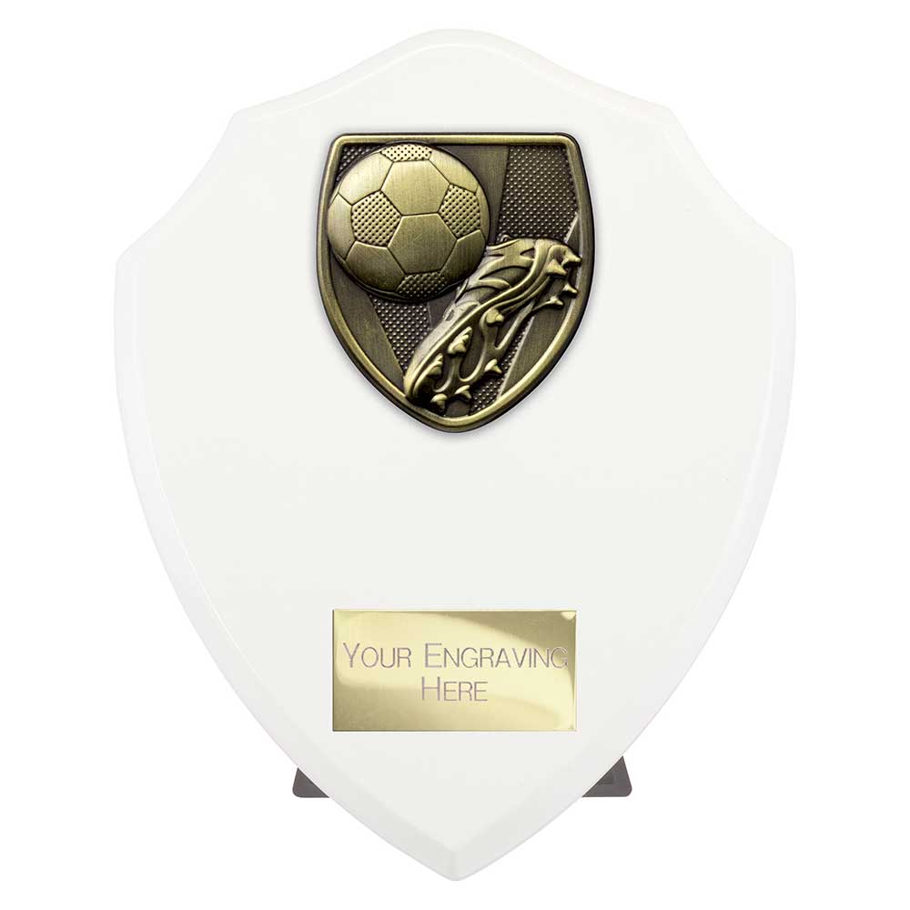 Cobra Shield Football Boot & Ball Award Arctic White 175mm