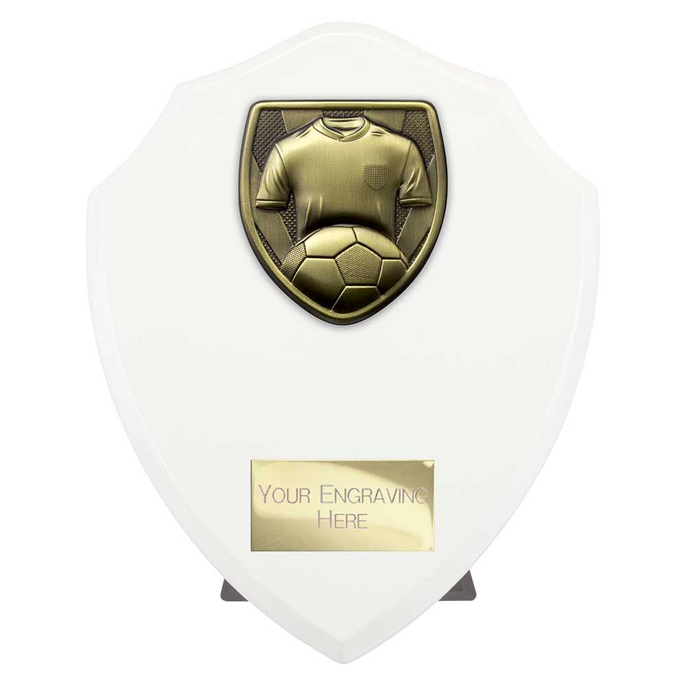 Cobra Shield Football Shirt & Ball Award Arctic White 175mm