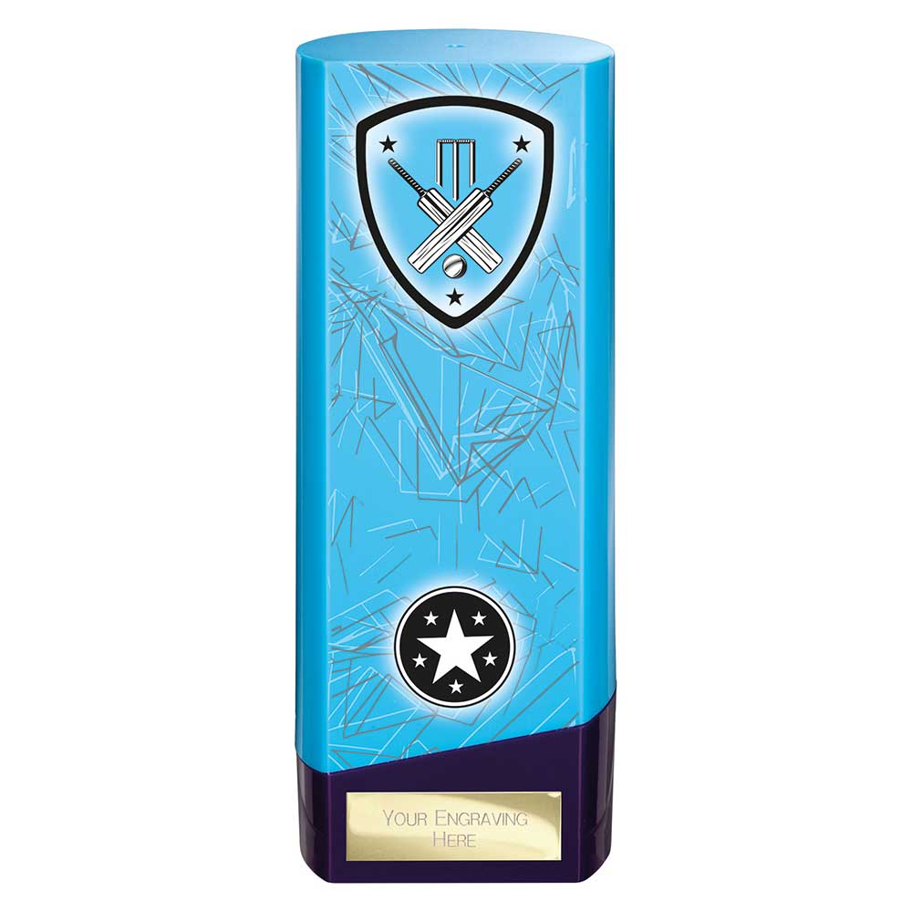Prime Heavyweight Cricket Blue & Purple 190mm