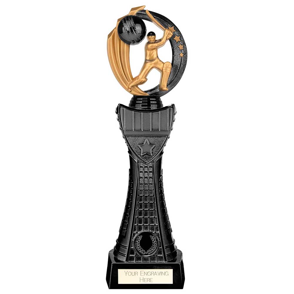 Renegade Heavyweight Cricket Award Black 335mm