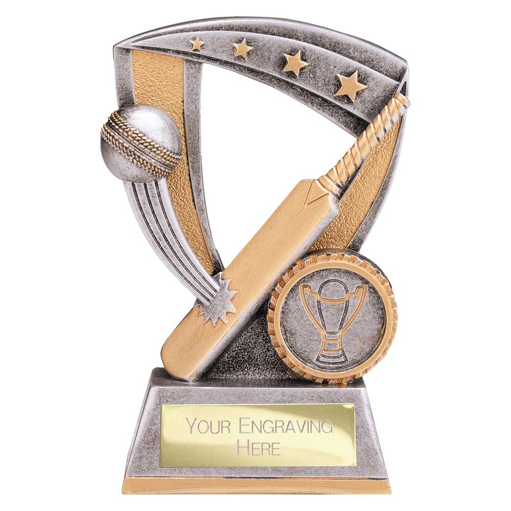 Optimum Cricket Resin Award Antique Silver & Gold 120mm