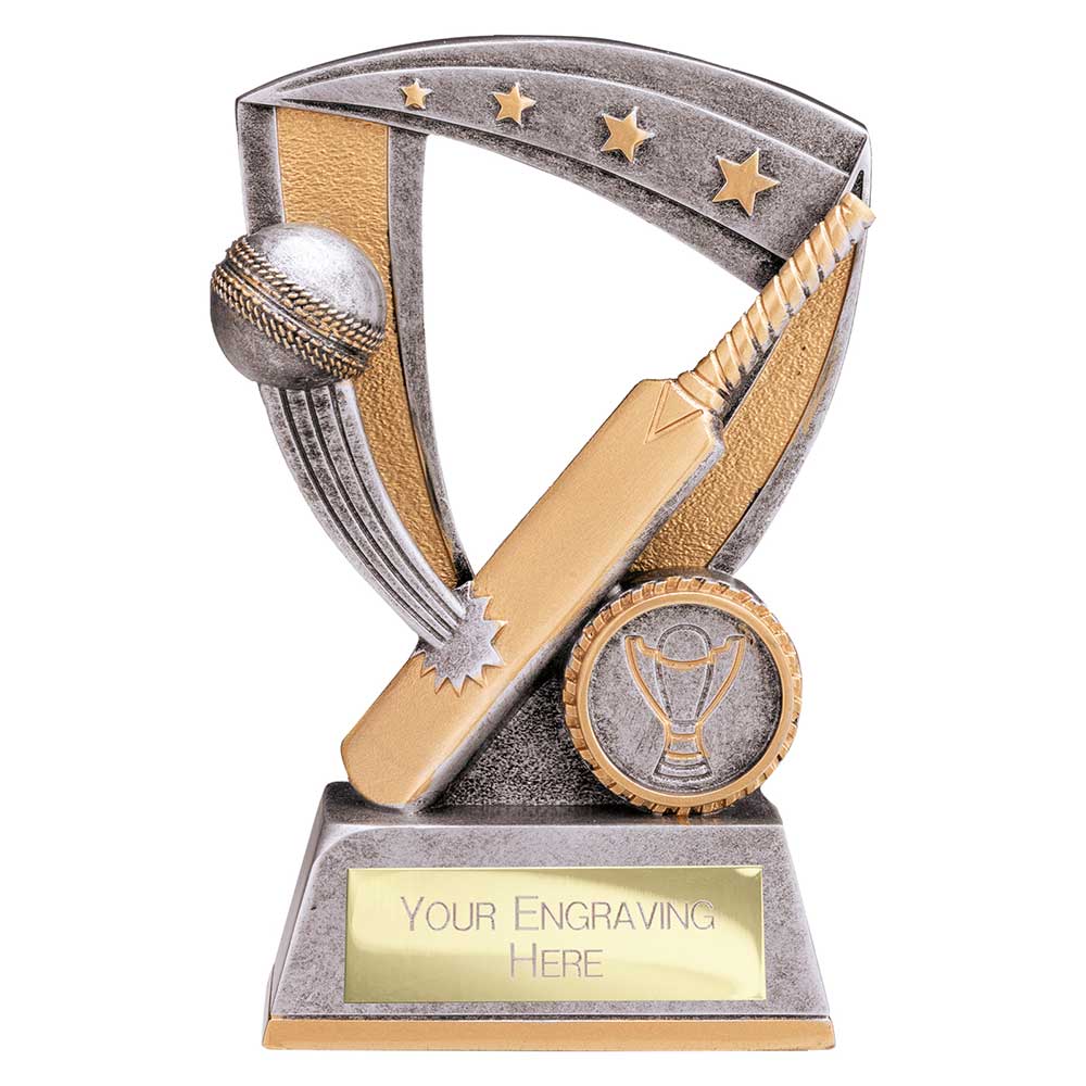 Optimum Cricket Resin Award Antique Silver & Gold 140mm