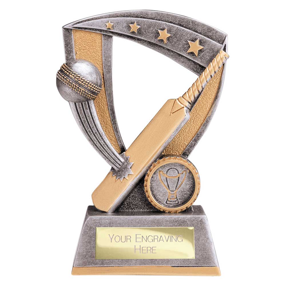 Optimum Cricket Resin Award Antique Silver & Gold 155mm