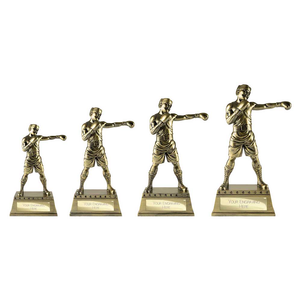 The Classic Boxing Award Metallic Antique Gold 185mm