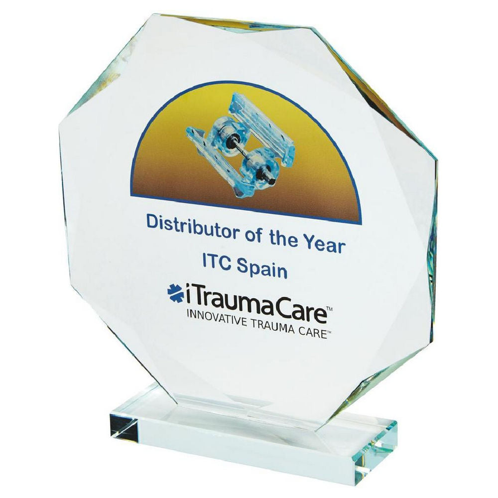 Crystal Octagon Award for Colour Printing (In Presentation Case) 215mm