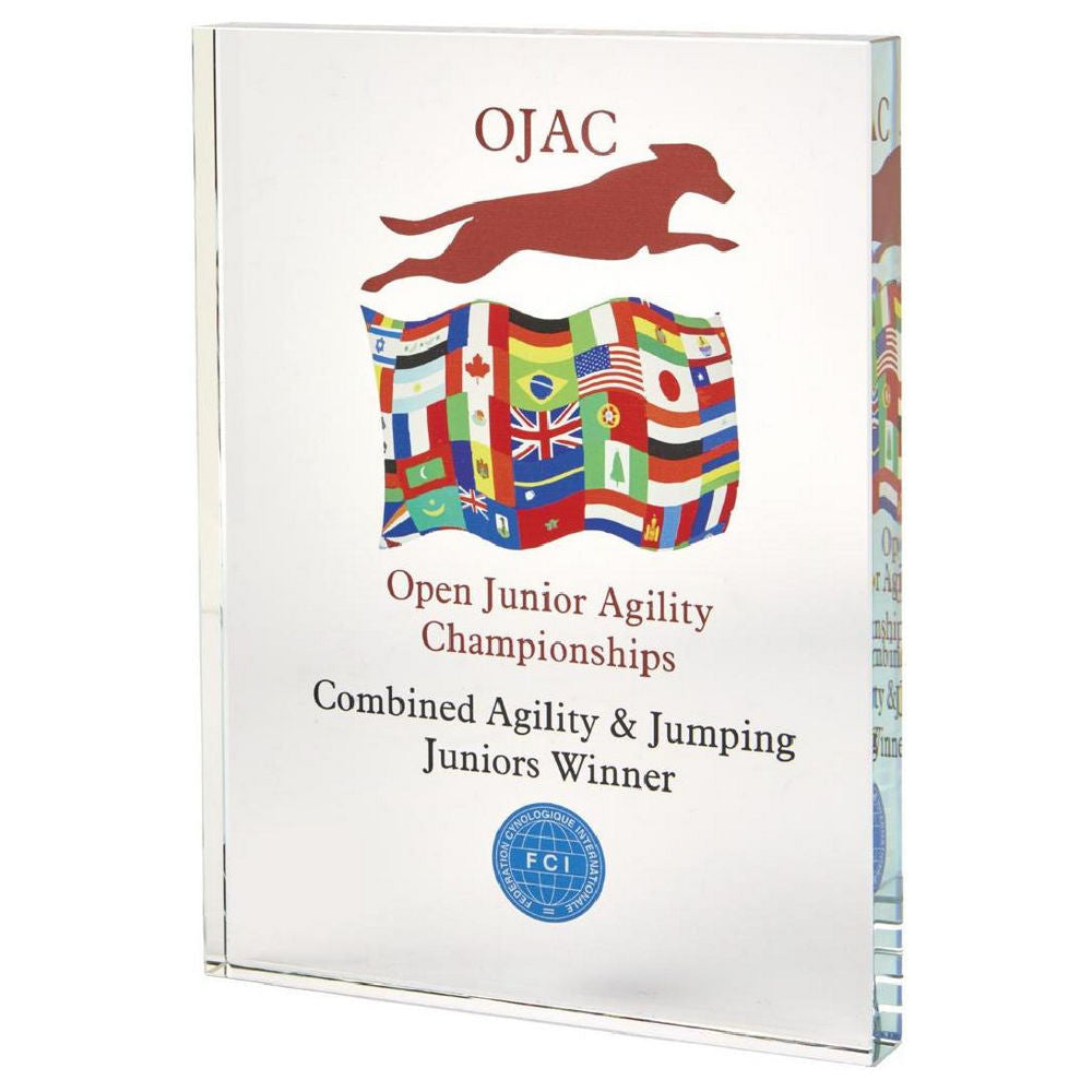 Crystal Block Award for Colour Printing (In Presentation Case) 200mm