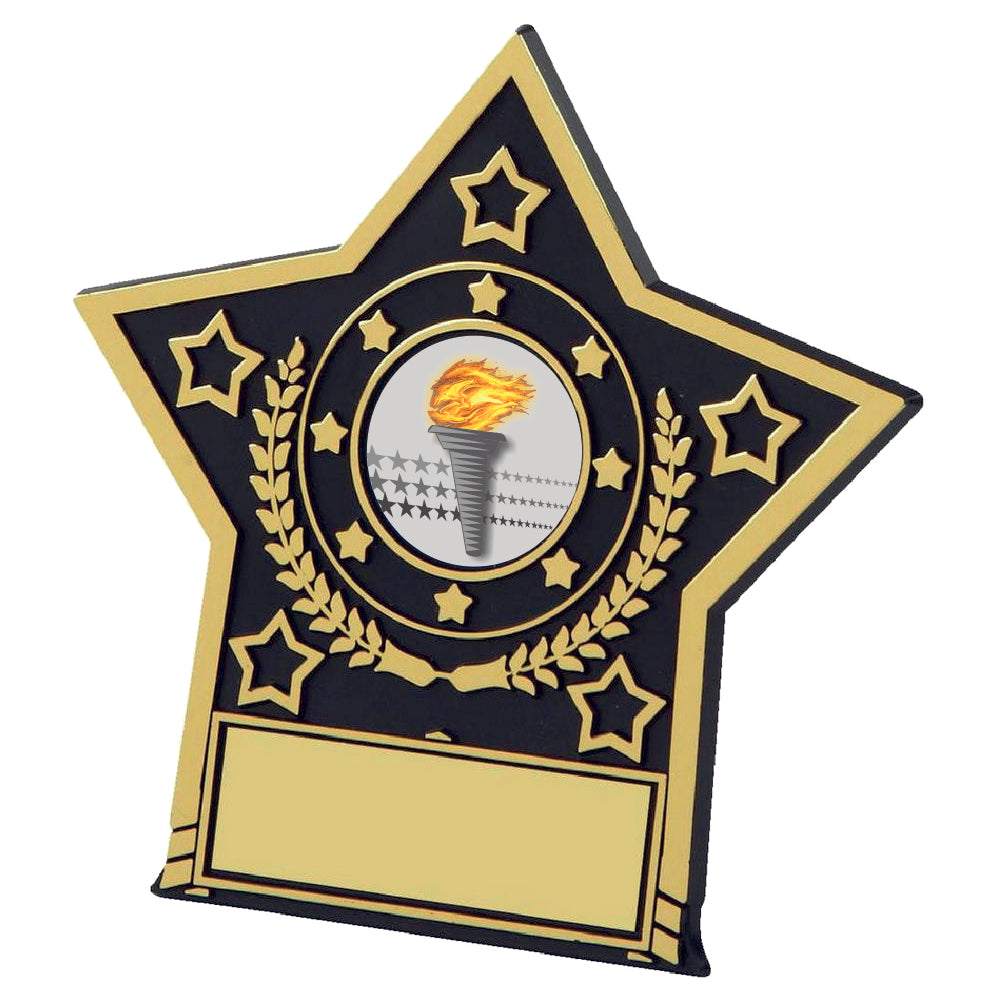 Black Plastic Star Plaque 100mm