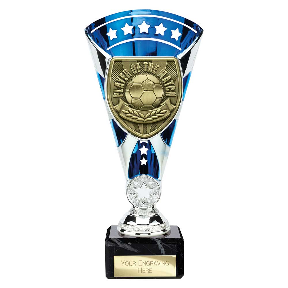 Cobra Star Cup Player of Match Silver & Blue 210mm