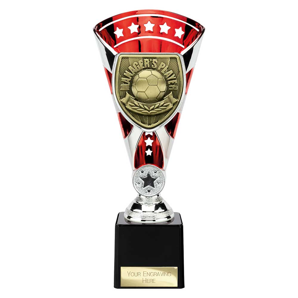 Cobra Star Cup Managers Player Silver & Red 230mm