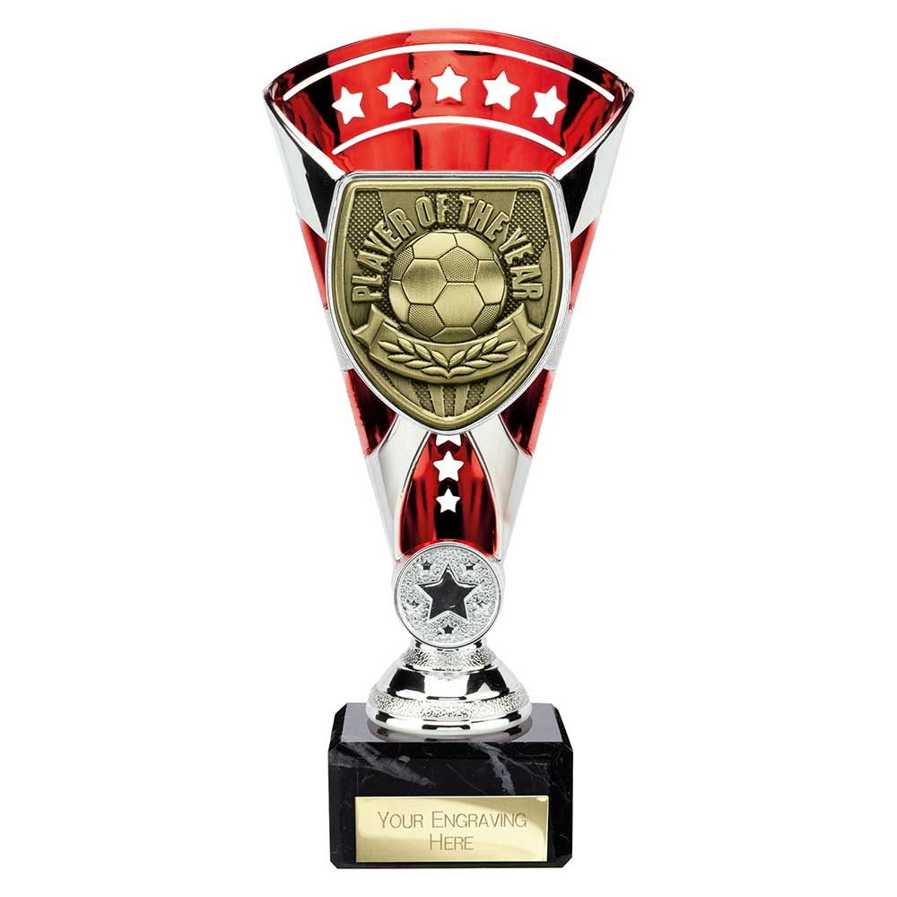 Cobra Star Cup Player of Year Silver & Red 210mm