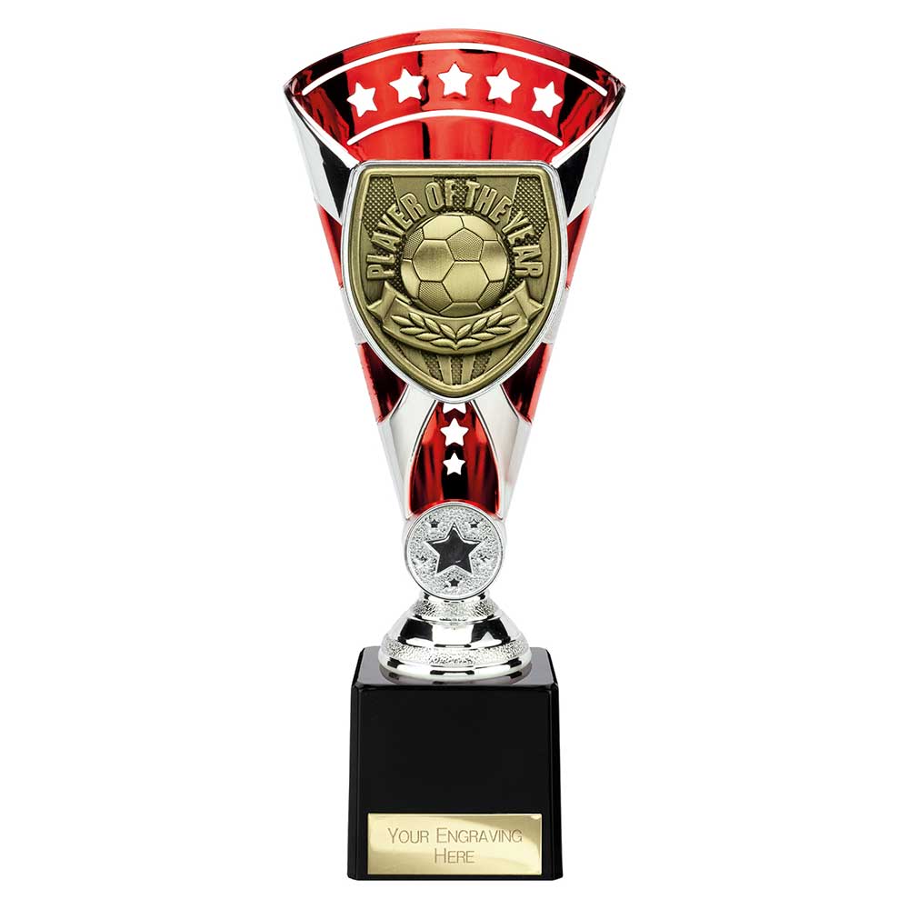 Cobra Star Cup Player of Year Silver & Red 230mm