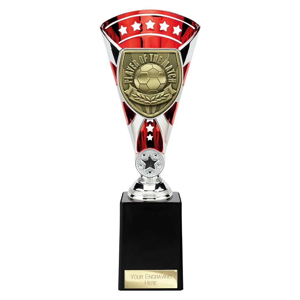Cobra Star Cup Player of Match Silver & Red 255mm
