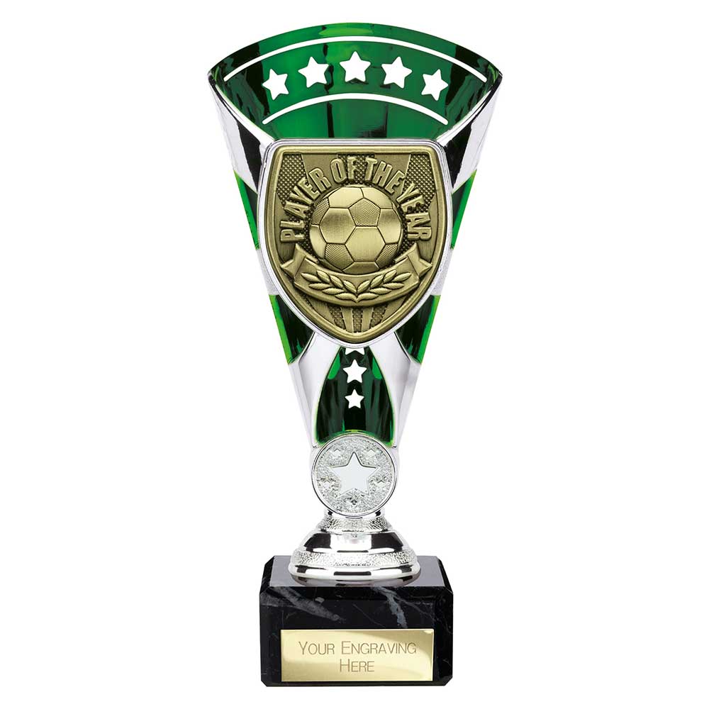 Cobra Star Cup Player of Year Silver & Green 210mm