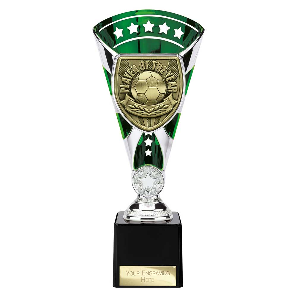 Cobra Star Cup Player of Year Silver & Green 230mm