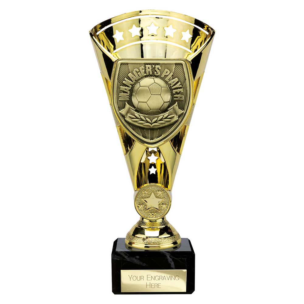 Cobra Star Cup Managers Player Gold 210mm