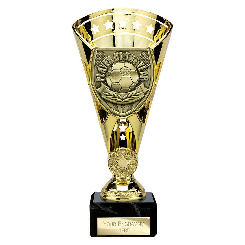 Cobra Star Cup Player of Year Gold 210mm