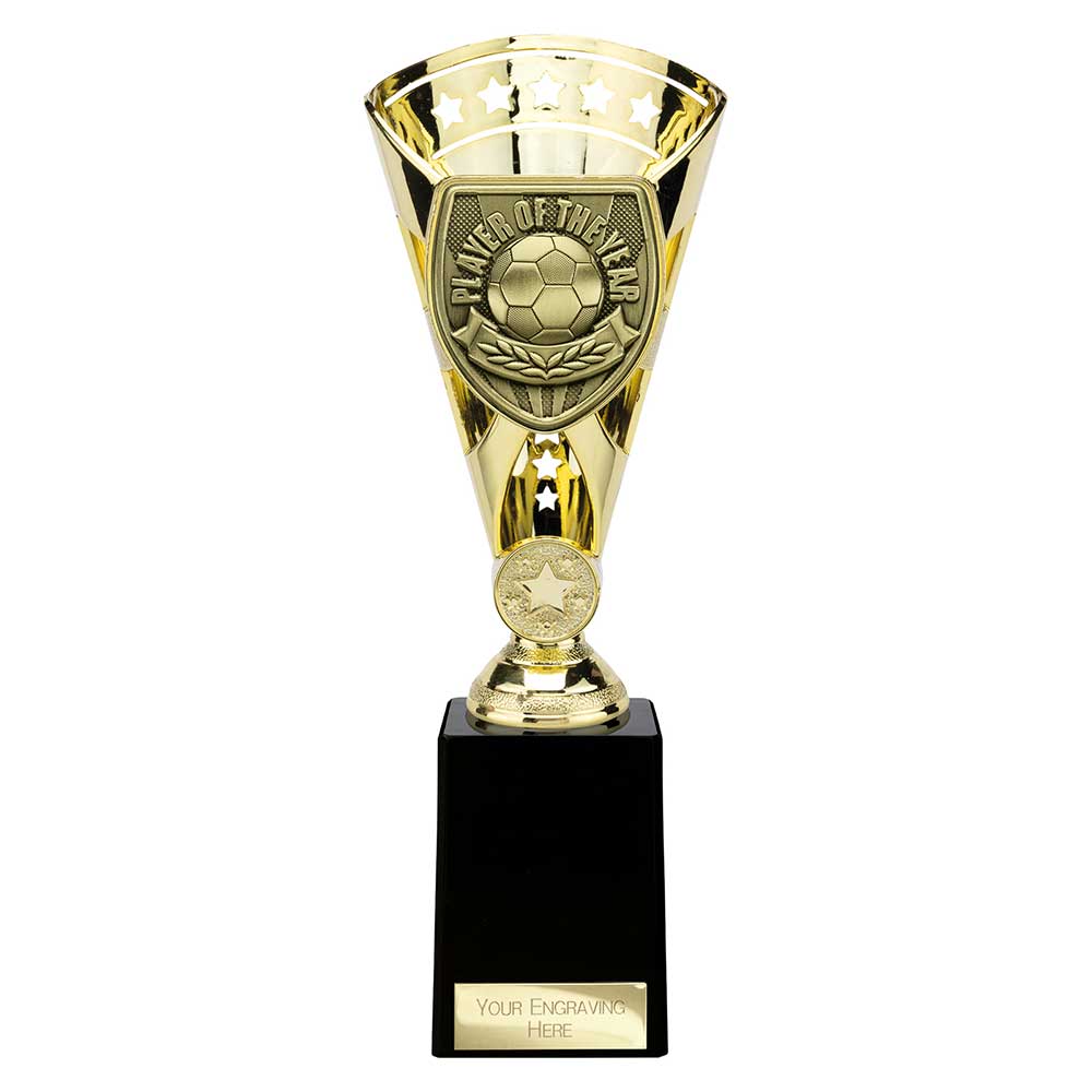 Cobra Star Cup Player of Year Gold 255mm