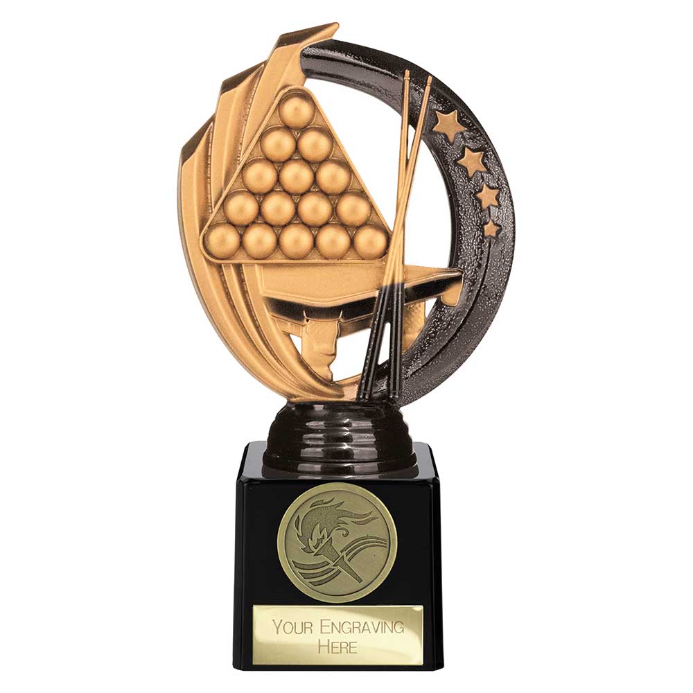 Renegade Legend Snooker Award Black 175mm