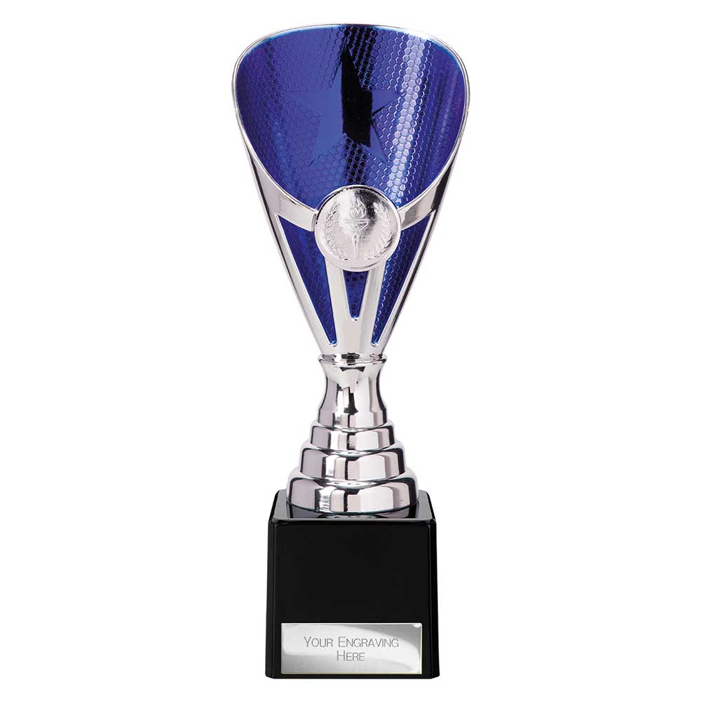 Rising Stars Premium Plastic Trophy Silver & Blue 205mm